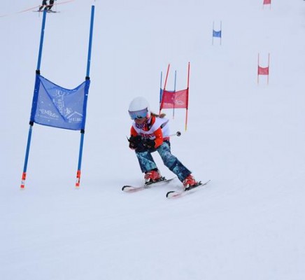 Normal x DSC 0833 (2)